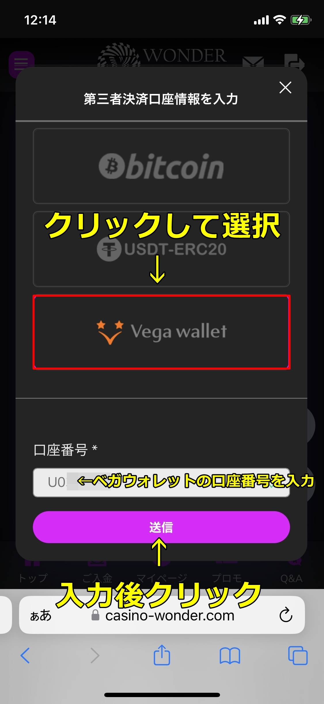 ワンダーカジノ